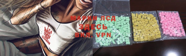гашик Майский