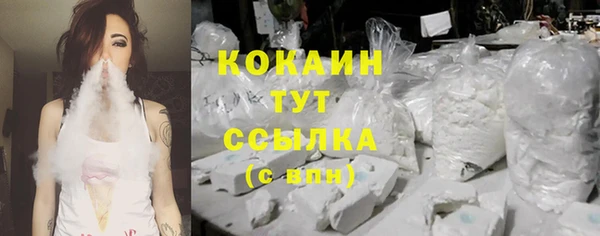 гашик Майский