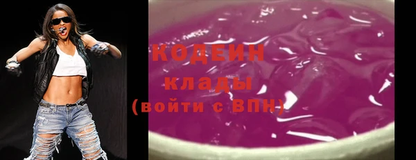 гашик Майский