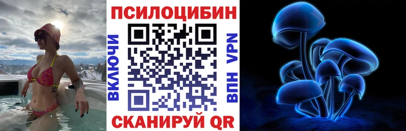 где найти наркотики  blacksprut tor  Галлюциногенные грибы MAGIC MUSHROOMS  Калтан 