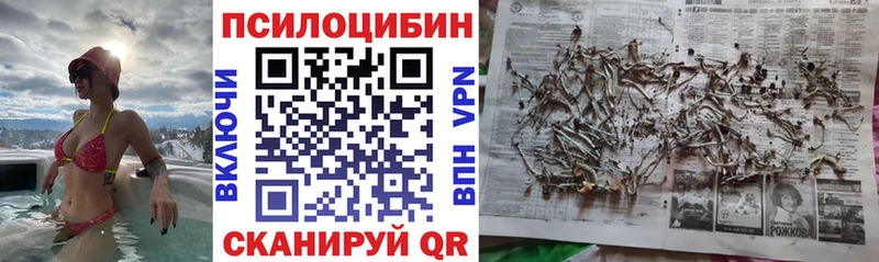 Галлюциногенные грибы прущие грибы Калтан